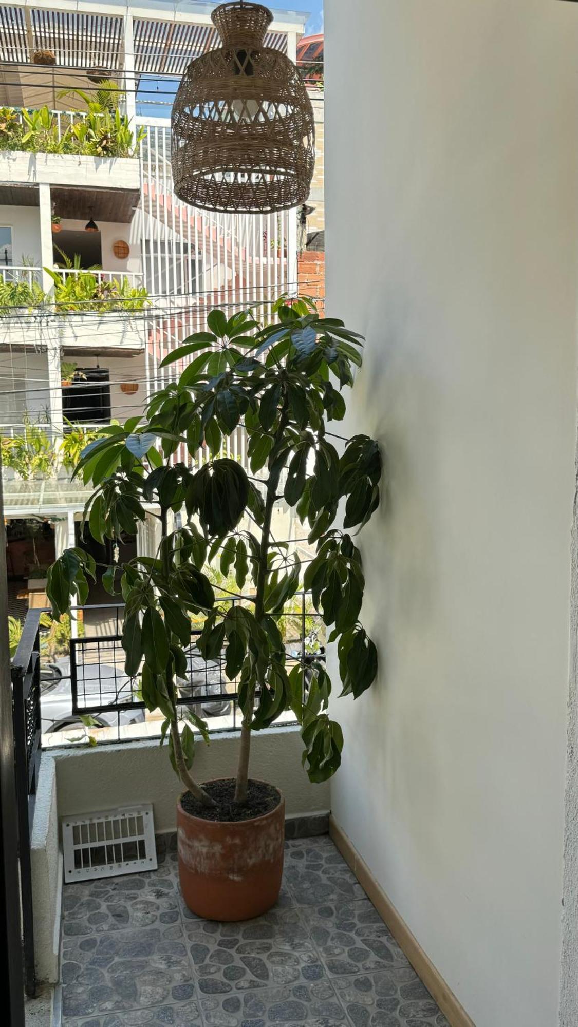 Luum Casa Hotel Manila Medellín Exteriör bild